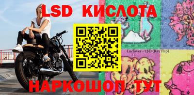 твердый Бийск