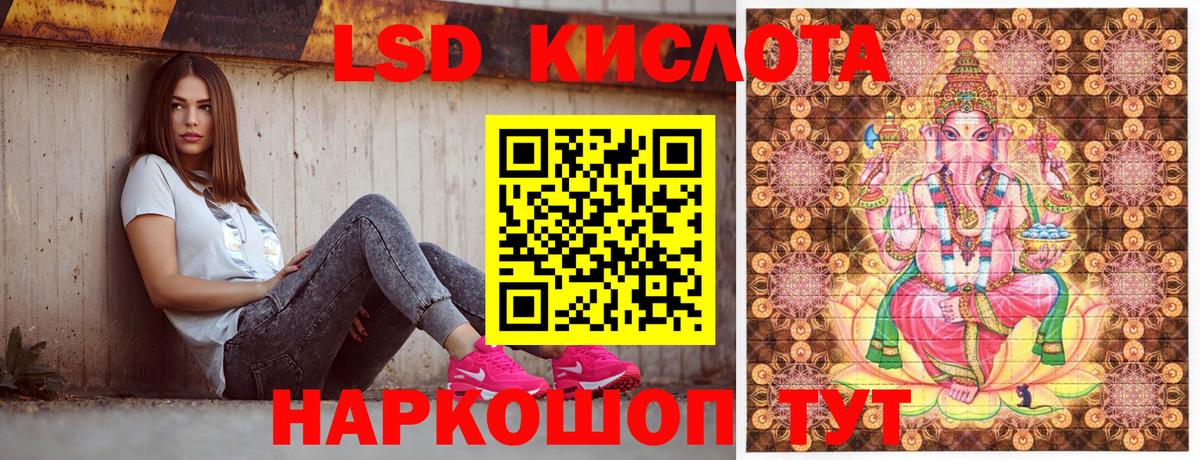 Псилоцибиновые грибы Батайск